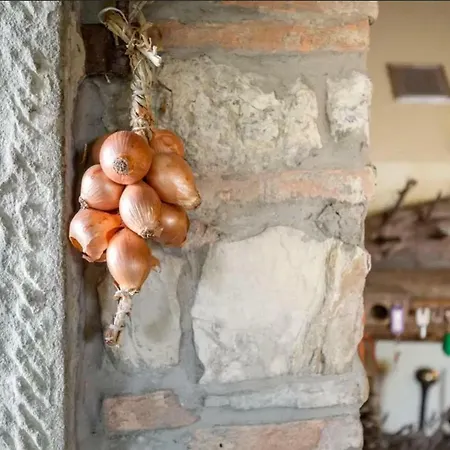 Casa Mazzocchi Vista Su * Поппи