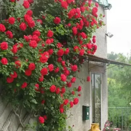 Casa Mazzocchi Vista Su * Поппи