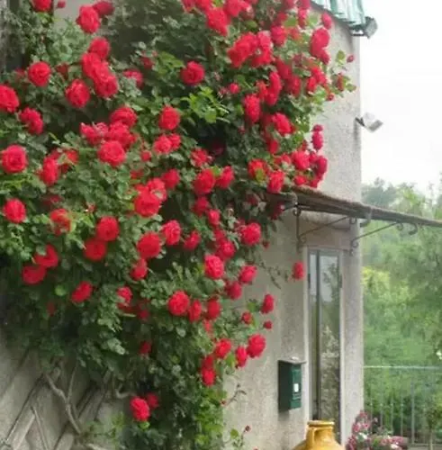 Casa Mazzocchi Vista Su * Poppi